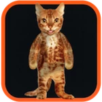 Logo of Real Talking Cat android Application 