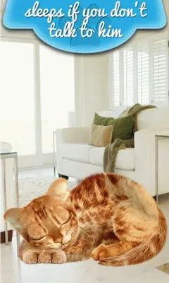 Real Talking Cat android App screenshot 0