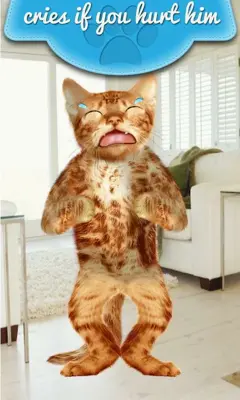 Real Talking Cat android App screenshot 1