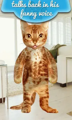 Real Talking Cat android App screenshot 3